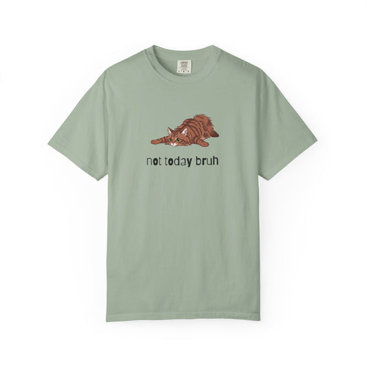 Long hair brown tabby cat Not Today Bruh T-Shirt
