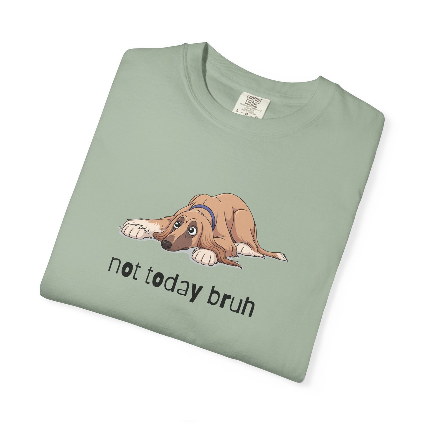 Afghan Hound Not Today Bruh T-Shirt