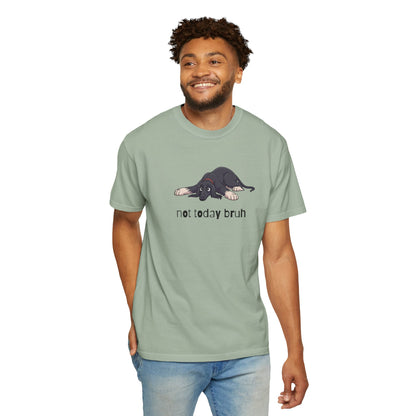 Afghan Hound Not Today Bruh T-Shirt