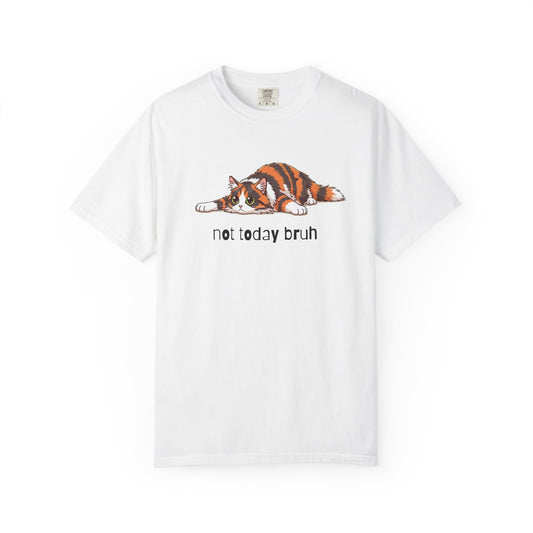 Long hair tortoiseshell cat Not Today Bruh T-Shirt
