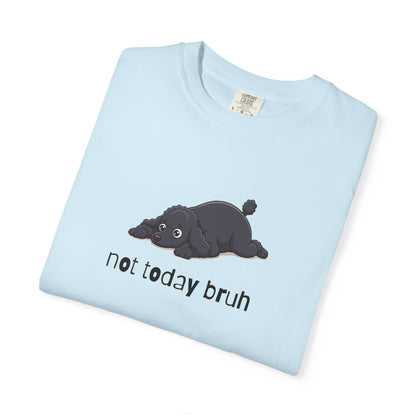 Poodle Not Today Bruh T-Shirt