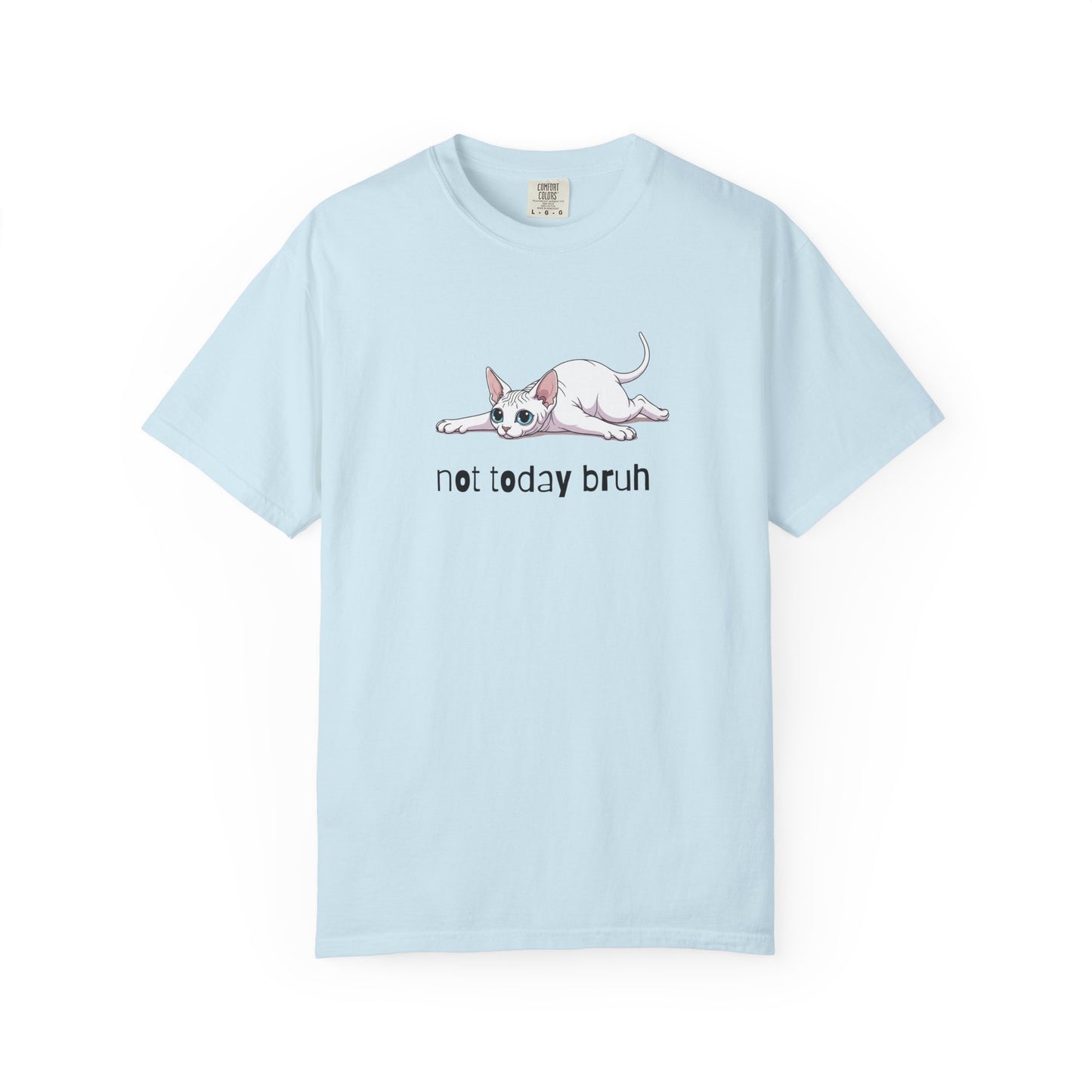Sphynx Not Today Bruh T-Shirt