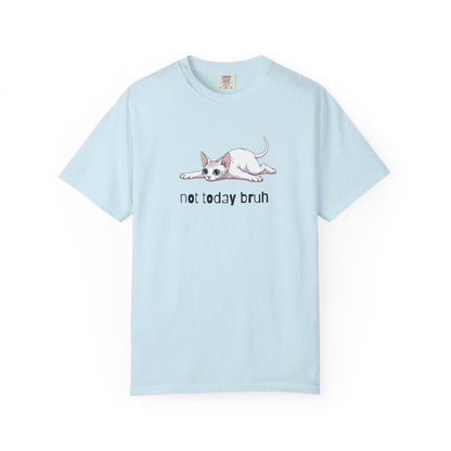Sphynx Not Today Bruh T-Shirt