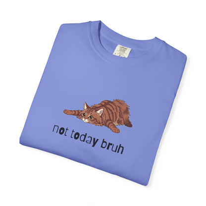 Long hair brown tabby cat Not Today Bruh T-Shirt