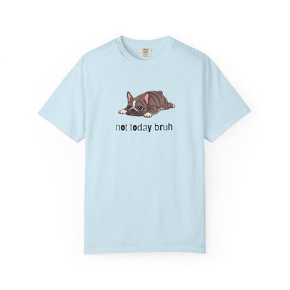 Frenchie Not Today Bruh T-Shirt