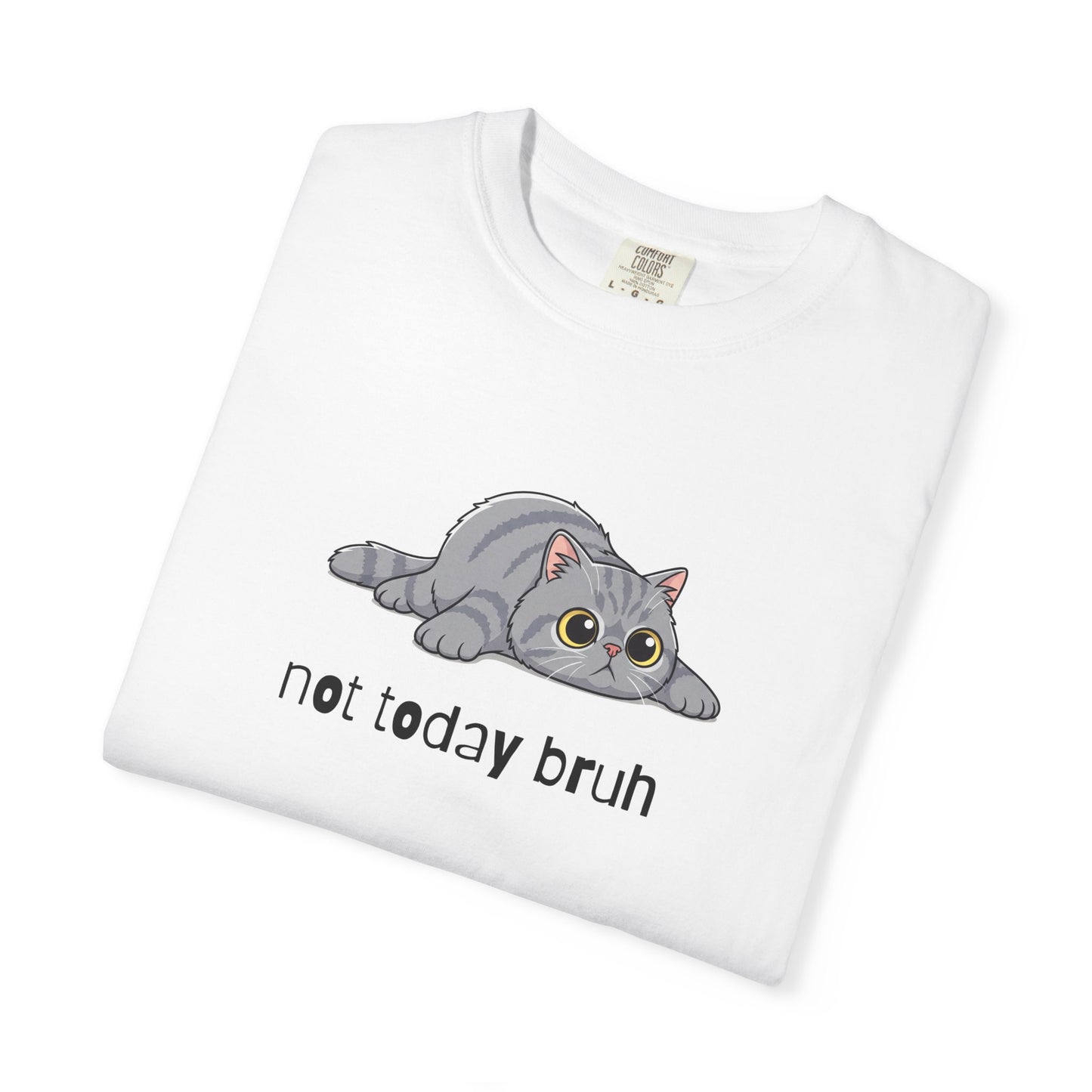 Persian Not Today Bruh T-Shirt