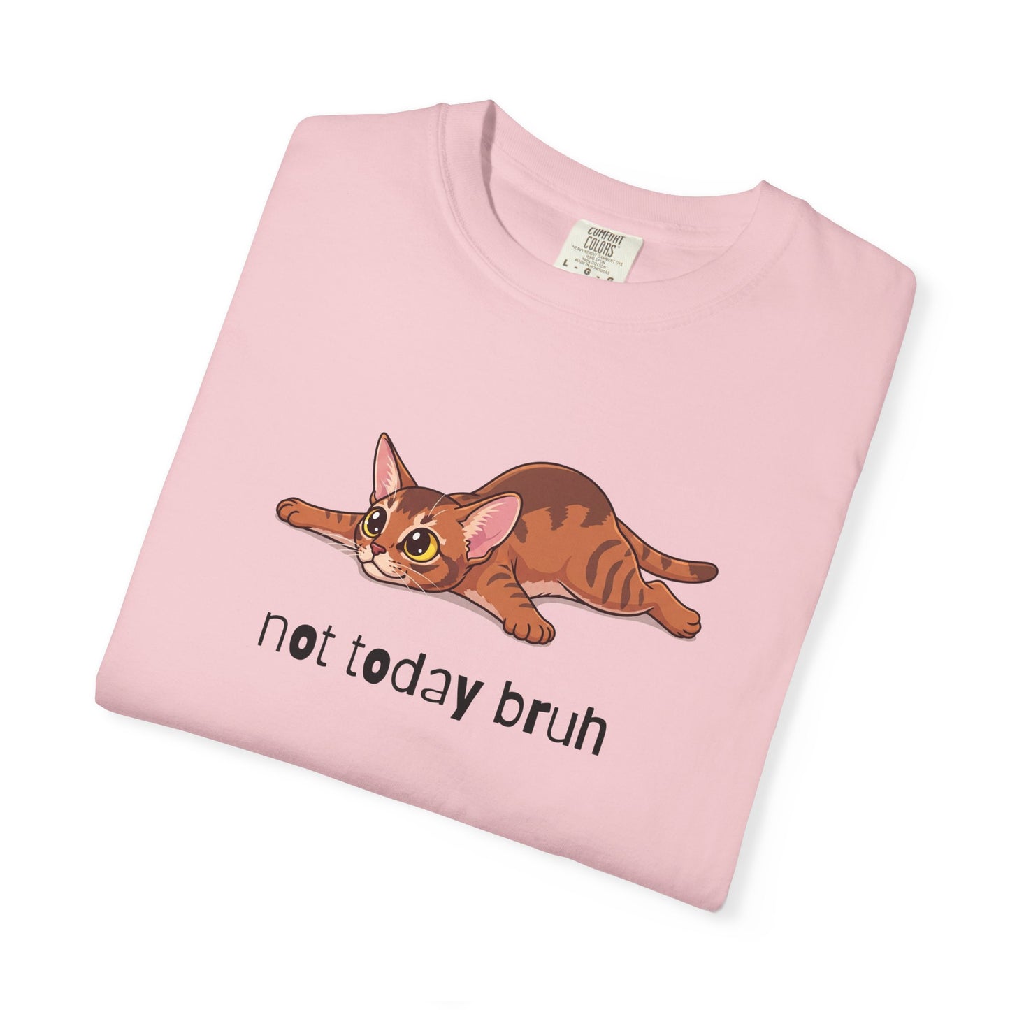 Abyssinian Not Today Bruh T-Shirt