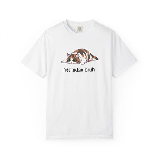 Long hair calico cat Not Today Bruh T-Shirt