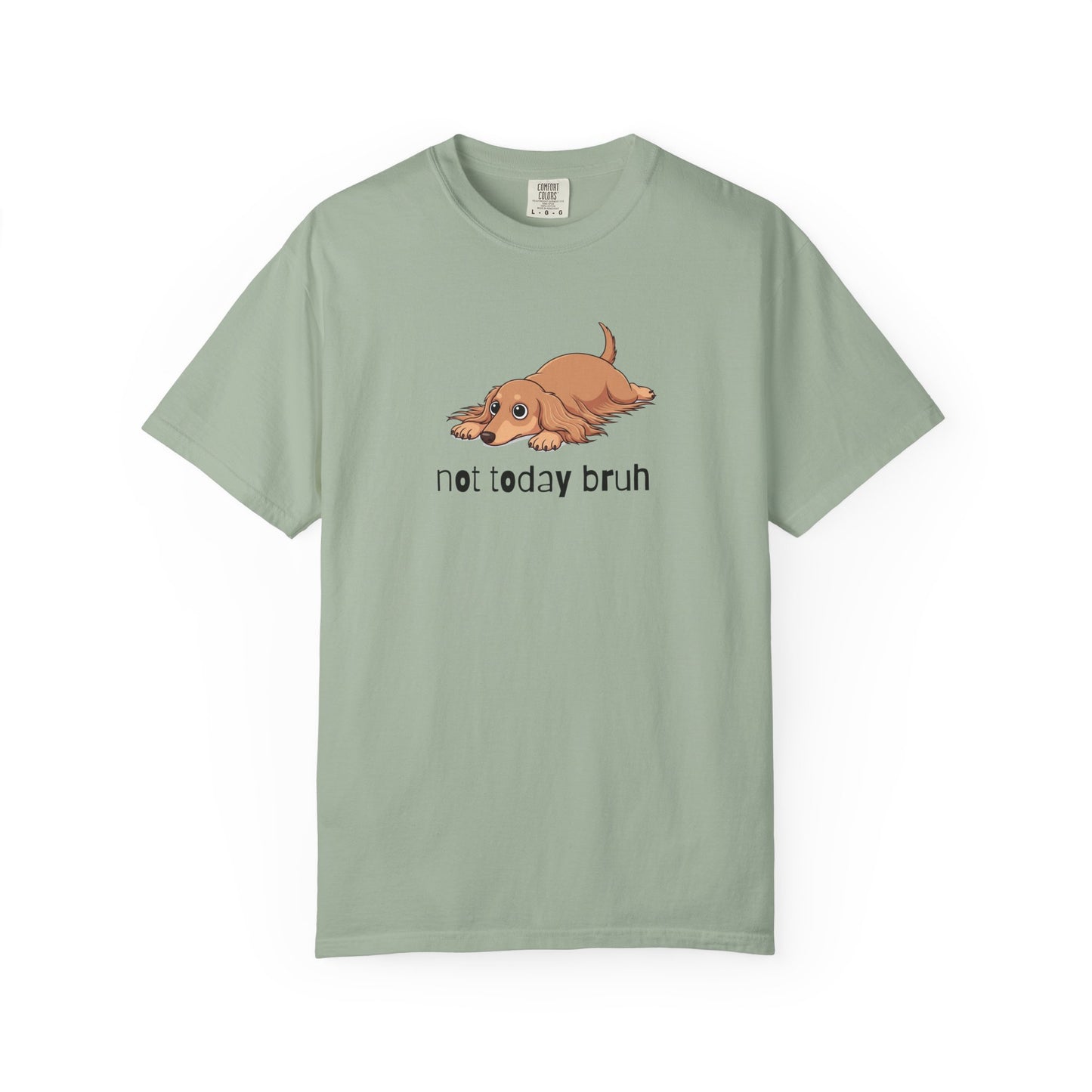 Dacshund Not Today Bruh T-Shirt
