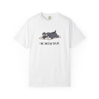 Schnauzer Not Today Bruh T-Shirt