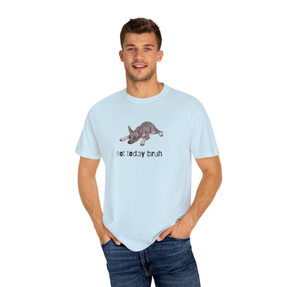 Hairless Dog Not Today Bruh T-Shirt