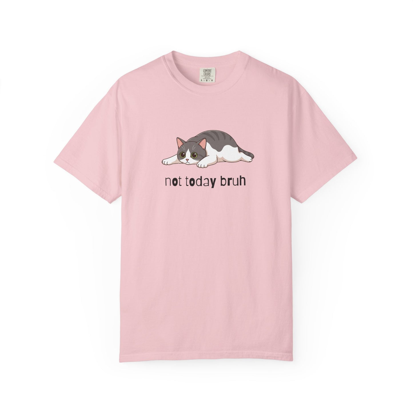 Short hair bi-color gray cat Not Today Bruh T-Shirt