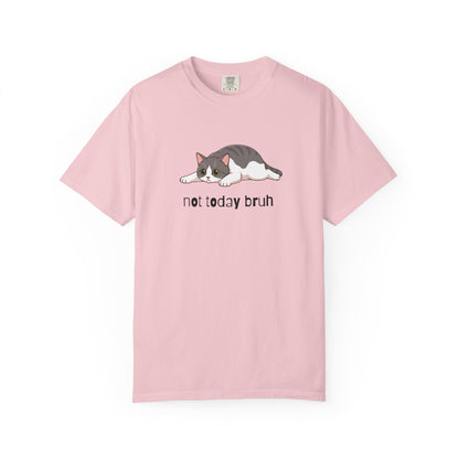 Short hair bi-color gray cat Not Today Bruh T-Shirt