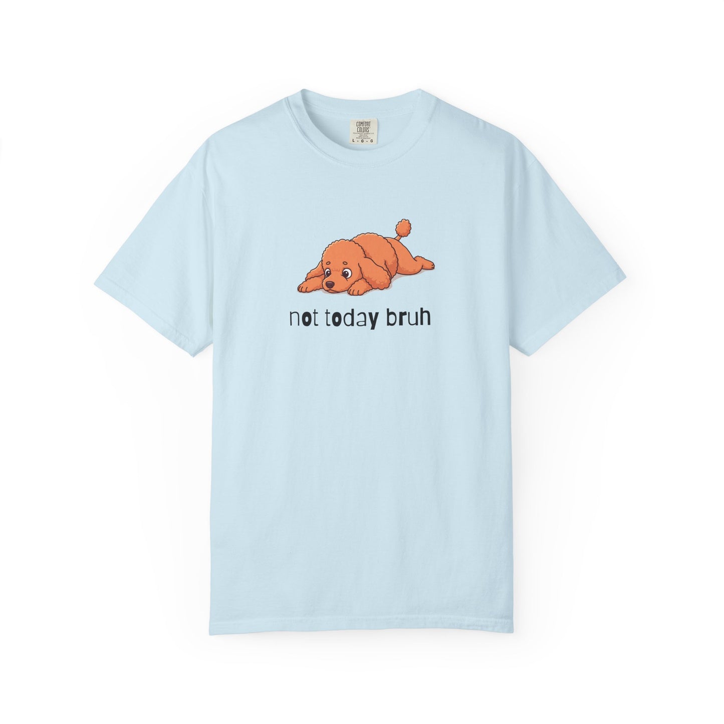 Poodle Not Today Bruh T-Shirt