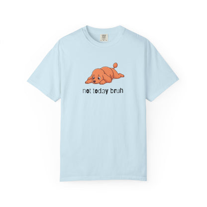 Poodle Not Today Bruh T-Shirt