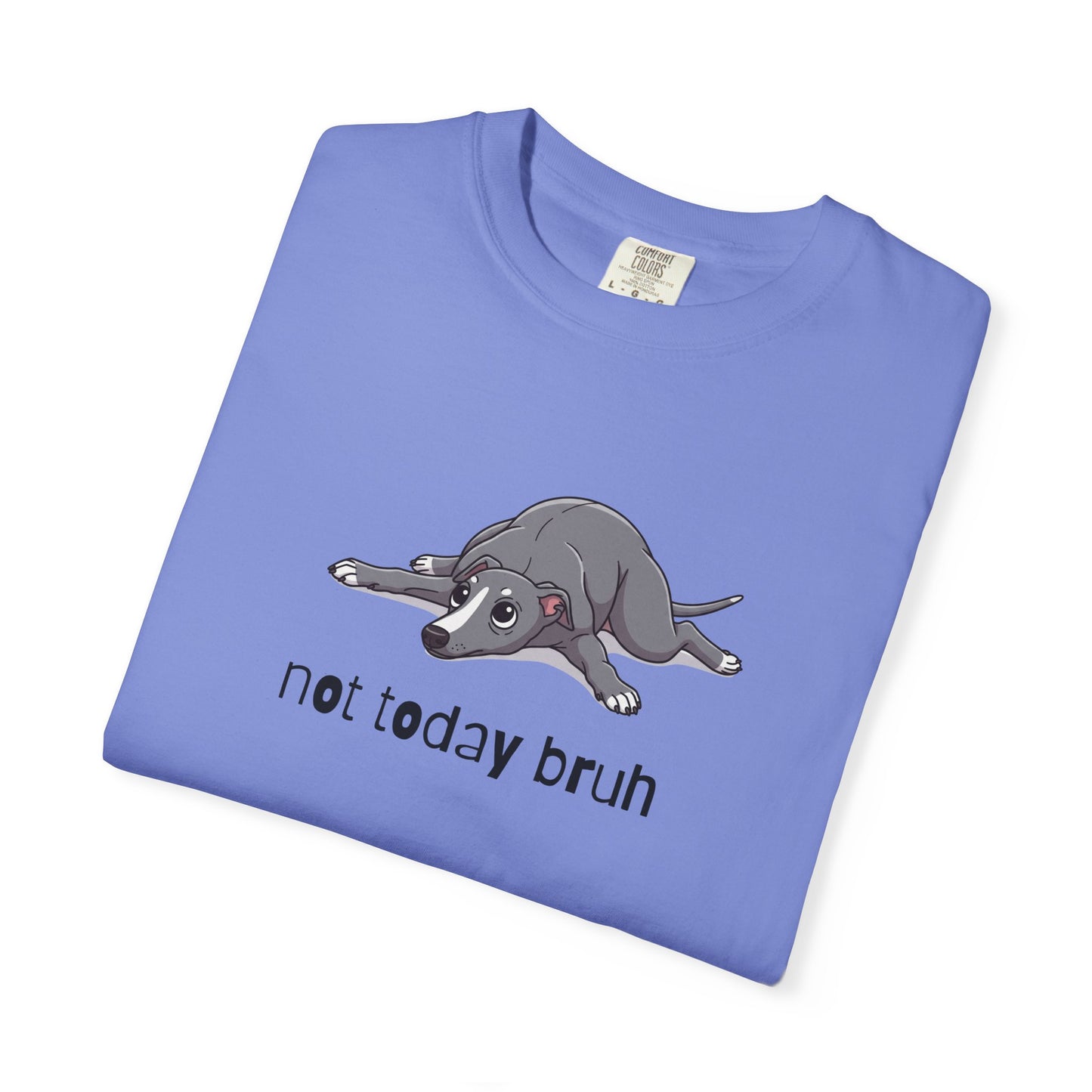 Greyhound Not Today Bruh T-Shirt