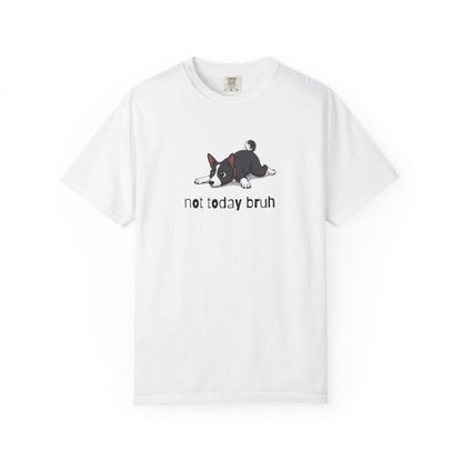 Basenji Not Today Bruh T-Shirt