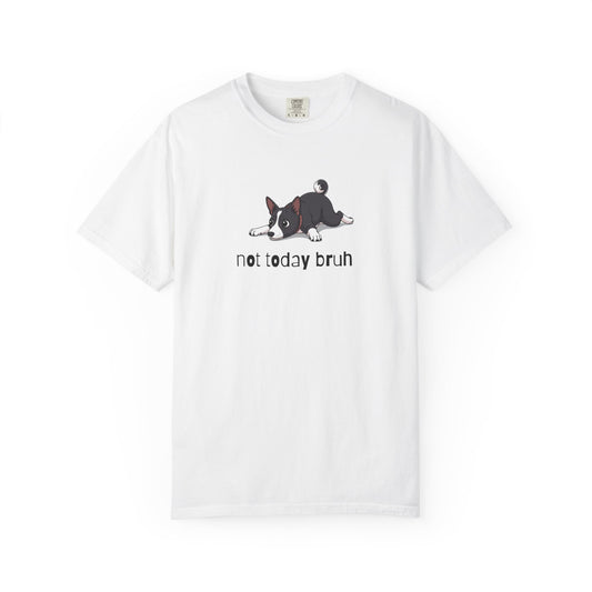 Basenji Not Today Bruh T-Shirt