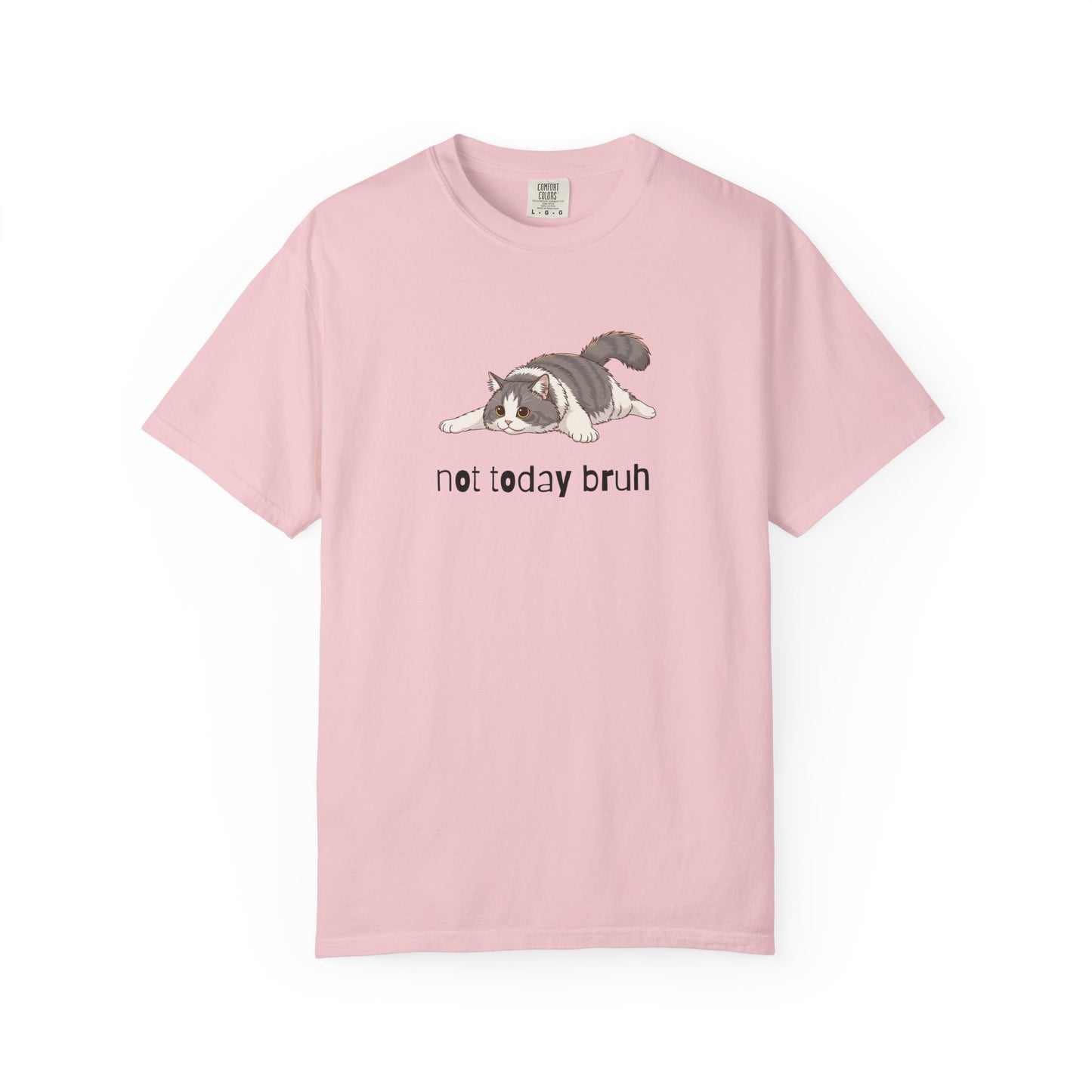 Long hair bi-color gray cat Not Today Bruh T-Shirt