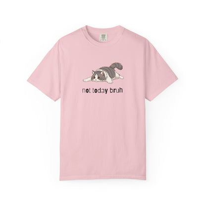 Long hair bi-color gray cat Not Today Bruh T-Shirt