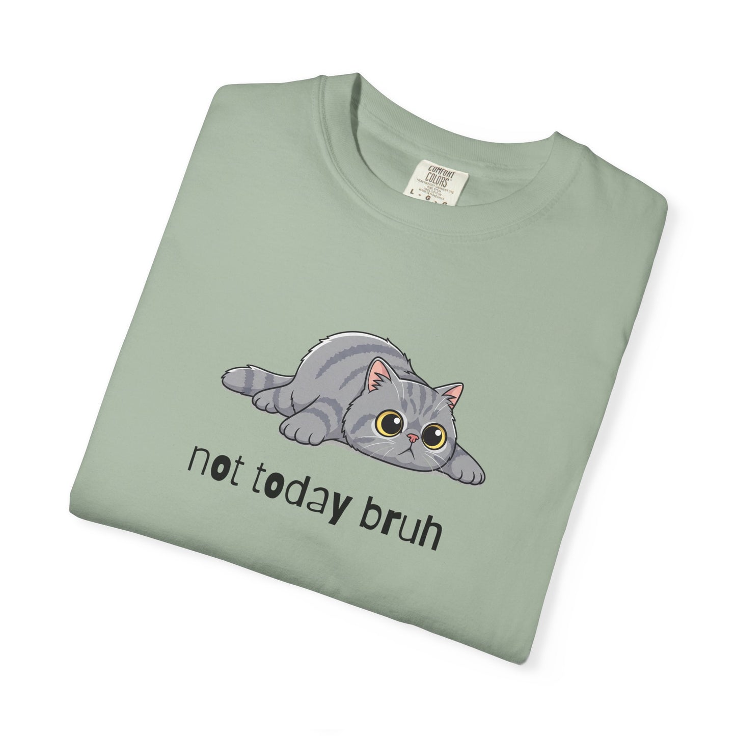 Persian Not Today Bruh T-Shirt