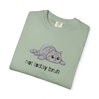 Persian Not Today Bruh T-Shirt