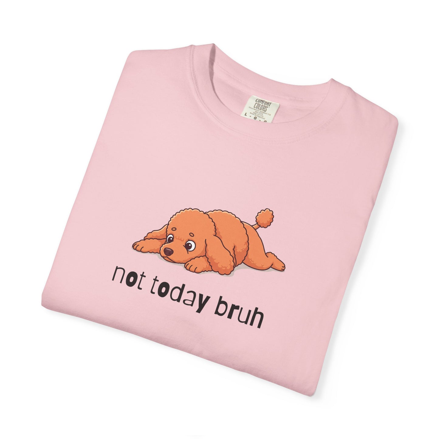 Poodle Not Today Bruh T-Shirt
