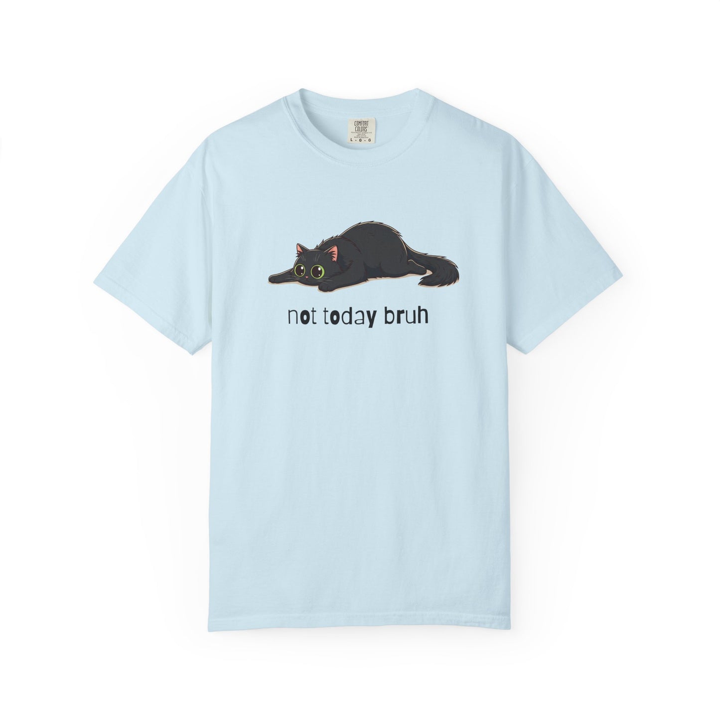 Long hair black cat Not Today Bruh T-Shirt