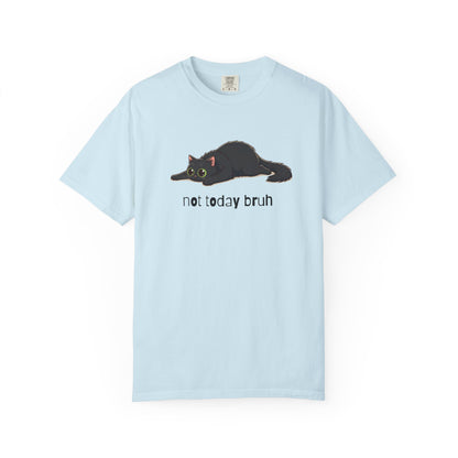 Long hair black cat Not Today Bruh T-Shirt