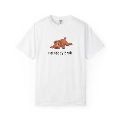 Irish Terrier Not Today Bruh T-Shirt
