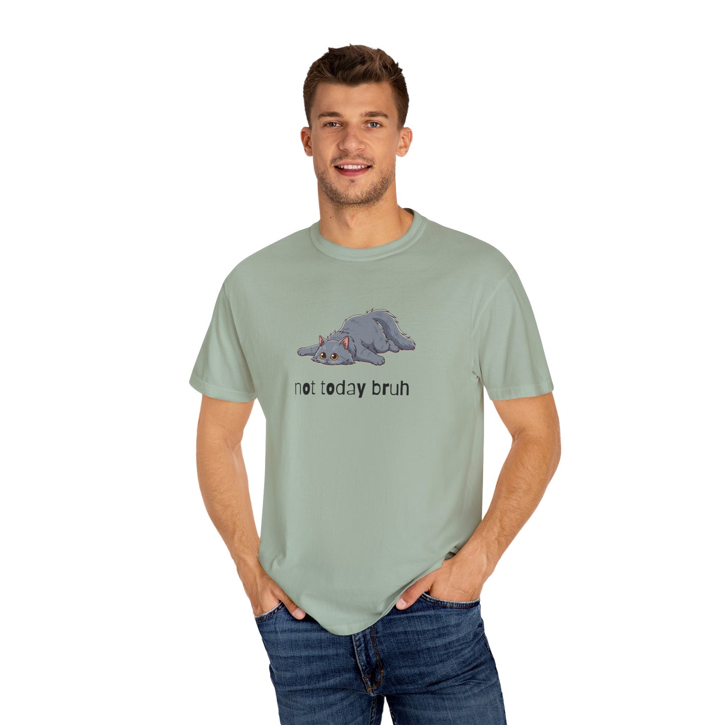 Long hair gray cat Not Today Bruh T-Shirt