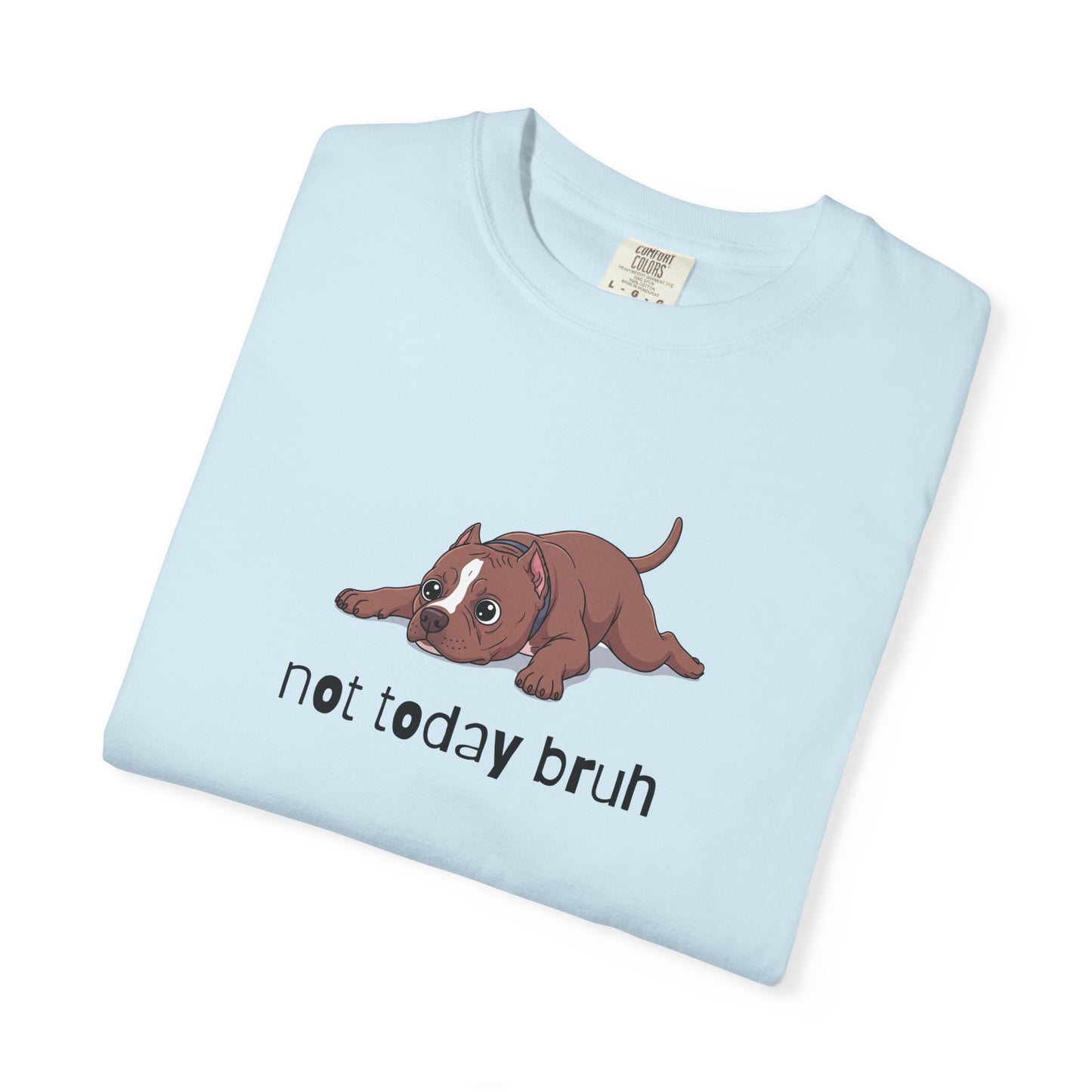 Pitbull Not Today Bruh T-Shirt