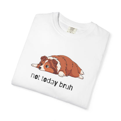 Sheltie Not Today Bruh T-Shirt