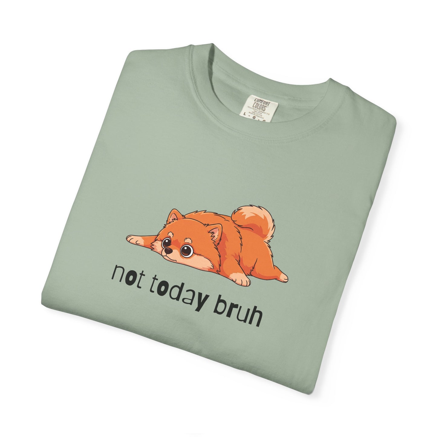 Pomeranian Not Today Bruh T-Shirt