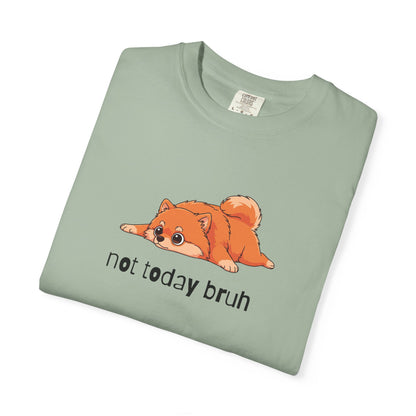 Pomeranian Not Today Bruh T-Shirt