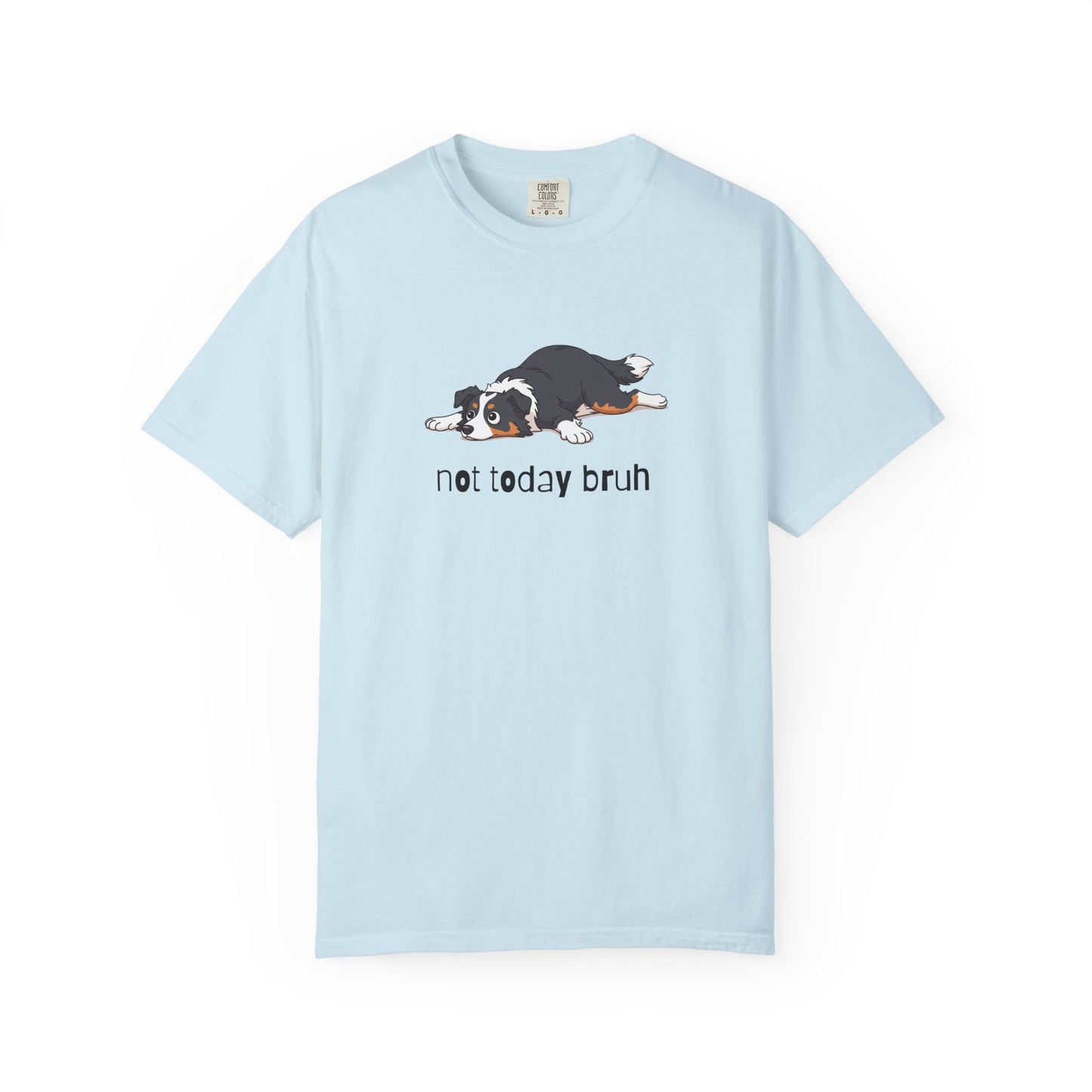 Border Collie Not Today Bruh T-Shirt