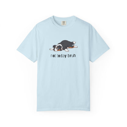Border Collie Not Today Bruh T-Shirt