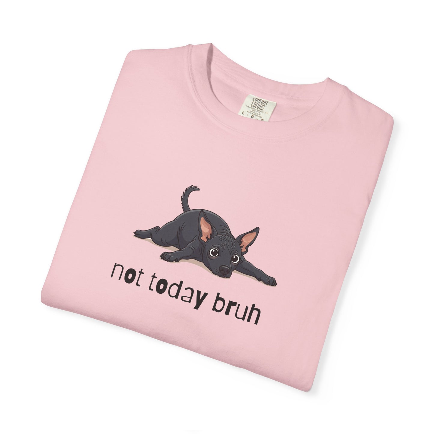 Hairless Dog Not Today Bruh T-Shirt