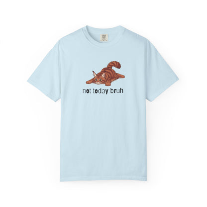 Maine Coon Not Today Bruh T-Shirt