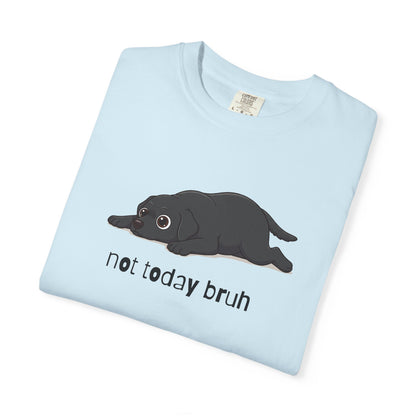Labrador Not Today Bruh T-Shirt