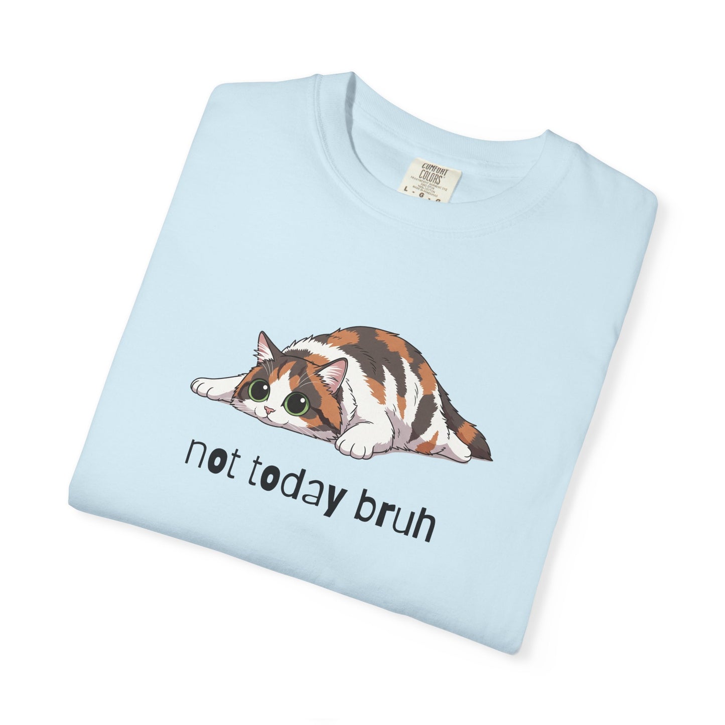 Long hair calico cat Not Today Bruh T-Shirt