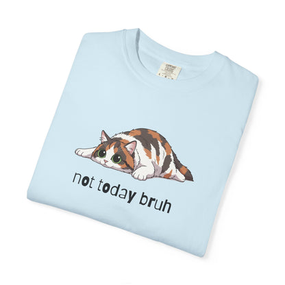 Long hair calico cat Not Today Bruh T-Shirt