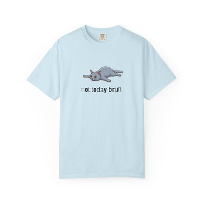 Short hair gray cat Not Today Bruh T-Shirt