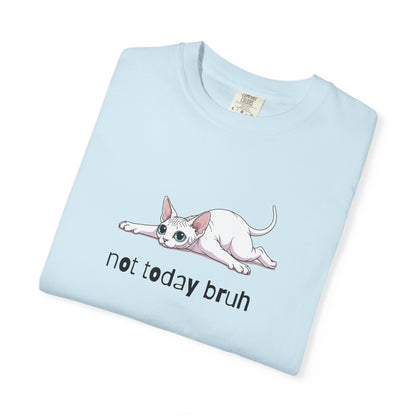 Sphynx Not Today Bruh T-Shirt