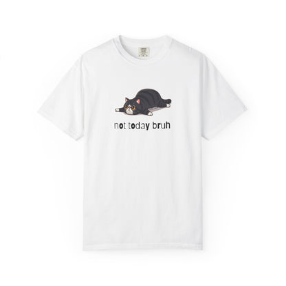 Exotic Shorthair Not Today Bruh T-Shirt