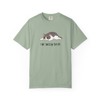 Short hair bi-color gray cat Not Today Bruh T-Shirt