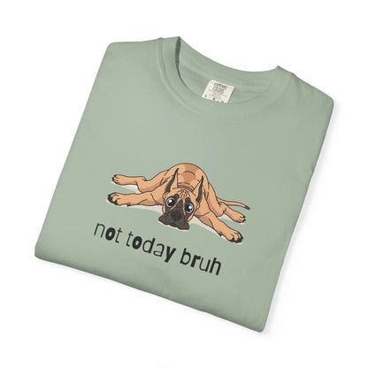 Great Dane Not Today Bruh T-Shirt