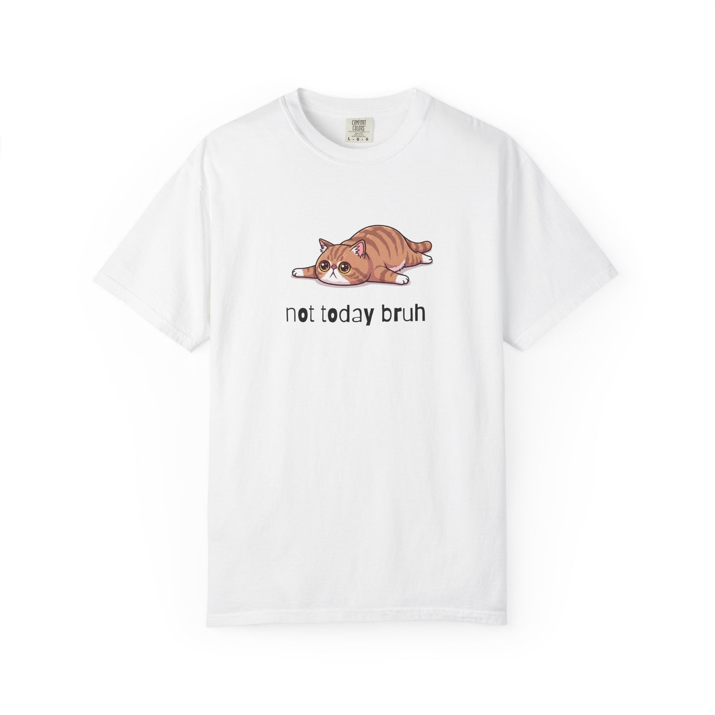 Exotic Shorthair Not Today Bruh T-Shirt
