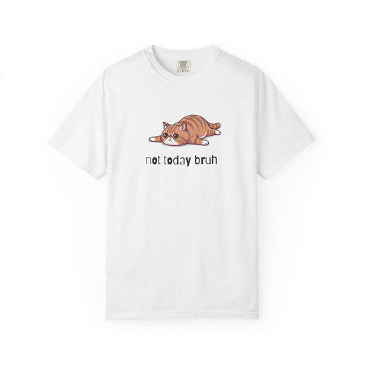 Exotic Shorthair Not Today Bruh T-Shirt