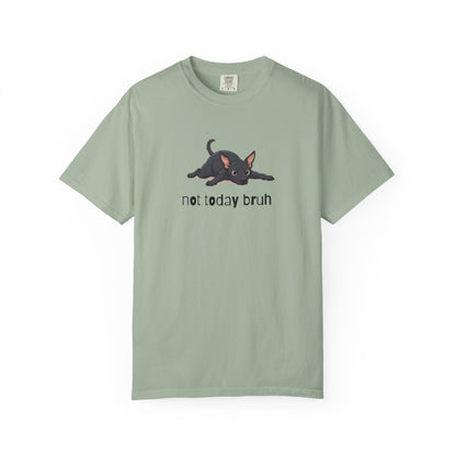 Hairless Dog Not Today Bruh T-Shirt